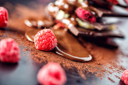 Sweet chocolate slices with fruits, cocoa powder and chocolate topping. sweet dessert , image for patisserie