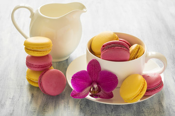 Several types of macaroons with white cup