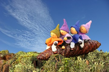 Vier Wichtel reiten auf einem Fichtenzapfen 