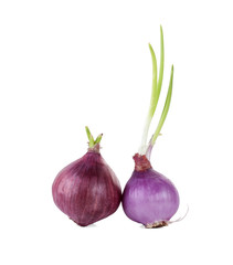 Red sliced onion isolated on white background