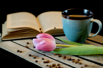 Book and pink tulip brings dreams of spring