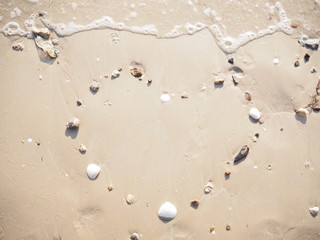 Moment of love with heart sea shells