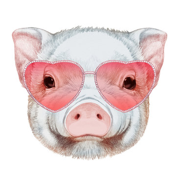 Piggy in Love! Portrait of Piggy with heart shaped sunglasses. Hand-drawn illustration, digitally colored.