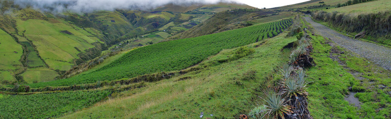 Fototapeta na wymiar Typical foggy landscape in rural areas of Ecuador