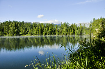 Mountain lake among the trees