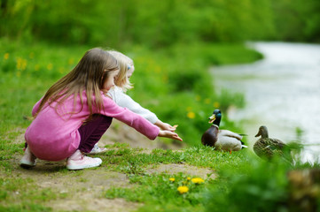 Two adorable sisters feeding ducks by a river