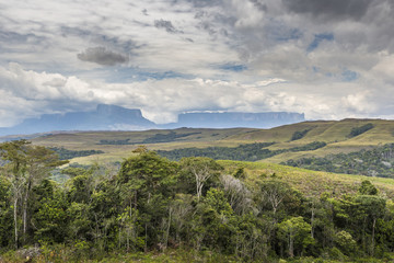 Fototapeta na wymiar Beautiful landscape characteristic for the Gran Sabana - Venezue