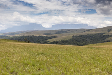 Beautiful landscape characteristic for the Gran Sabana - Venezue