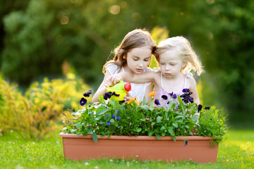 Two cute little sisters watering flowers in the garden