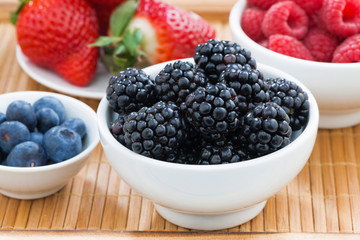 bowl of blackberries close-up and fresh berries