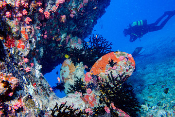 Ship Wreck in maldives indian ocean