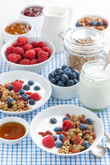 breakfast with granola, berries, honey and yogurt, vertical