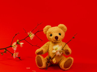 梅の花とくまちゃん