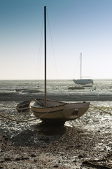 Boat at low tide
