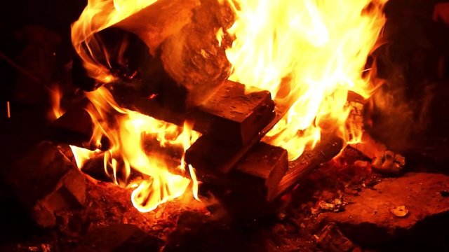 The big night bonfire in the woods for a picnic