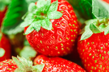 Macro strawberries close up in a white bowl.