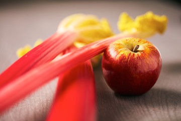 Fresh apple and rhubarb stalks for baking