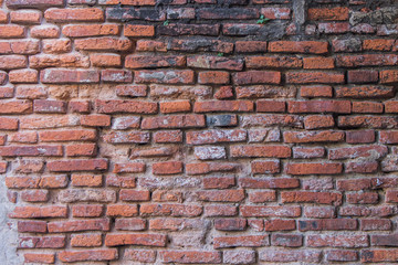 Fototapeta premium Ściana