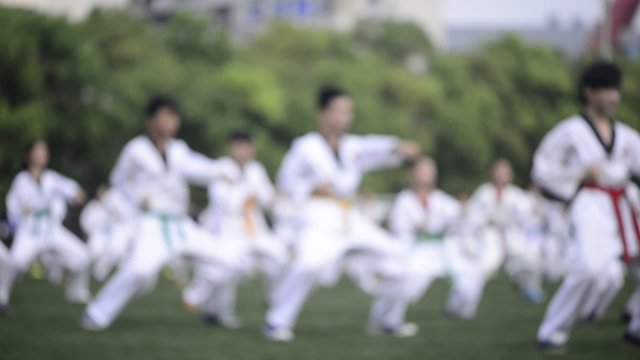 Taekwondo performance