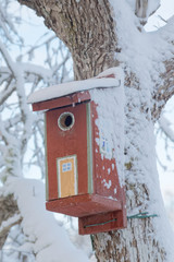 Painted bird house covered with snow