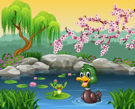Cute duck swimming with frog