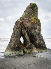 Pacific coast, Olympic National Park