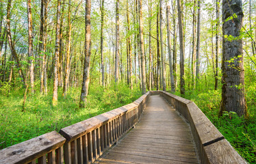 Nisqually National Wildlife Refuge