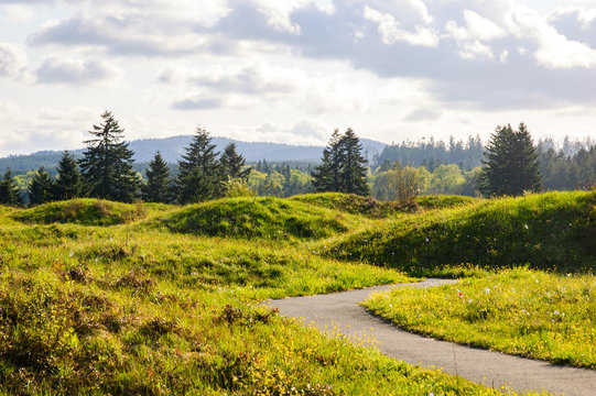 Mima Mounds Natural Area Preserve
