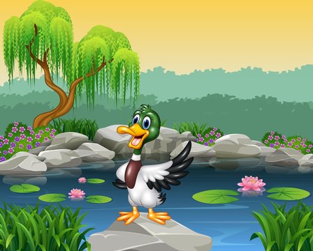 Cartoon funny duck presenting 