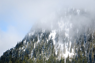Mount Rainier National Park