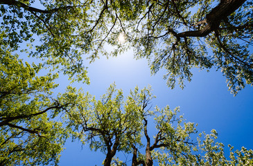 Presque Isle State Park