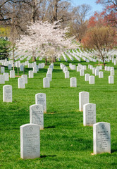 Naklejka premium Arlington National Cemetery,