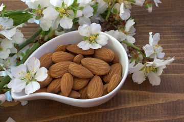 Almond nuts and blossoming branch.