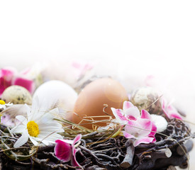 Osterkarte: Frohe Ostern :)