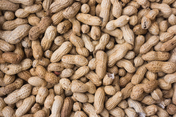 groundnut background