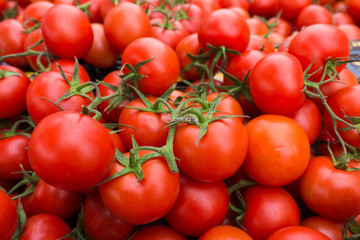 red tomatoes background. Group of tomatoes