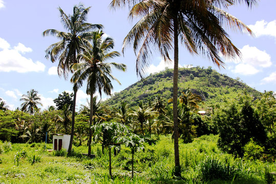 Nature Tanzania landscape