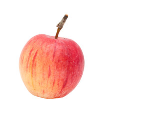 an apple on a white background