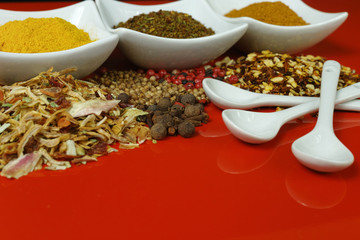 Set of spices and seasonings with white spoons, white on red