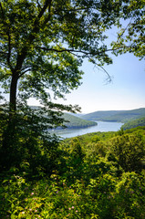 Naklejka premium Allegheny National Forest