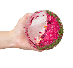 dish in a hand on a white background