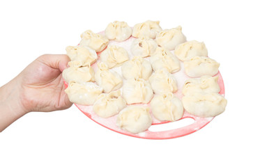 dumplings in a hand on a white background