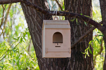 trough for birds on tree in the park