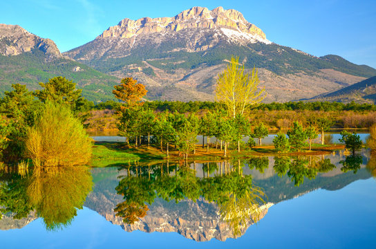 g&ouml;l manzarası ve yansıma g&uuml;zelliği