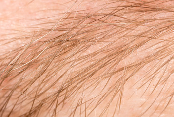 eyebrow men as a background. macro