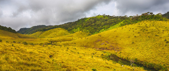 The Horton Plains