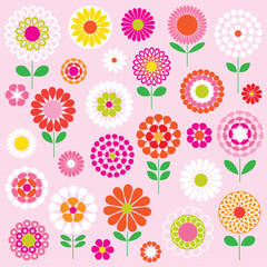 vector flowers
