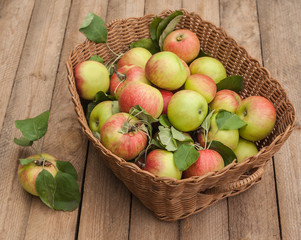 Basket with apples