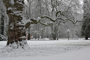 Park zimą. © boguslavus