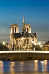 the Notre Dame cathedral, Paris, France.
